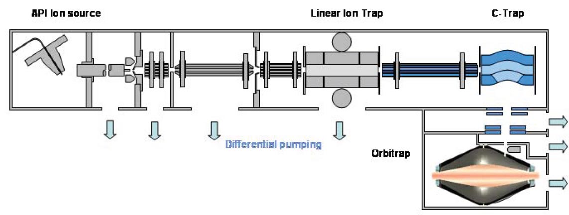 The hybrid Linear-Triple-Quad Orbitrap Mass Spectrometer